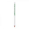 LAPIZ BIC ECO