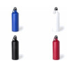 BIDON ALUMINIO 800 Ml