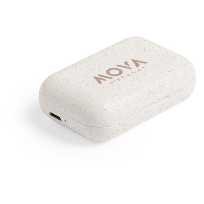 AURICULARES CAÑA DE TRIGO