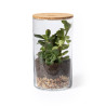 TERRARIUM KIT